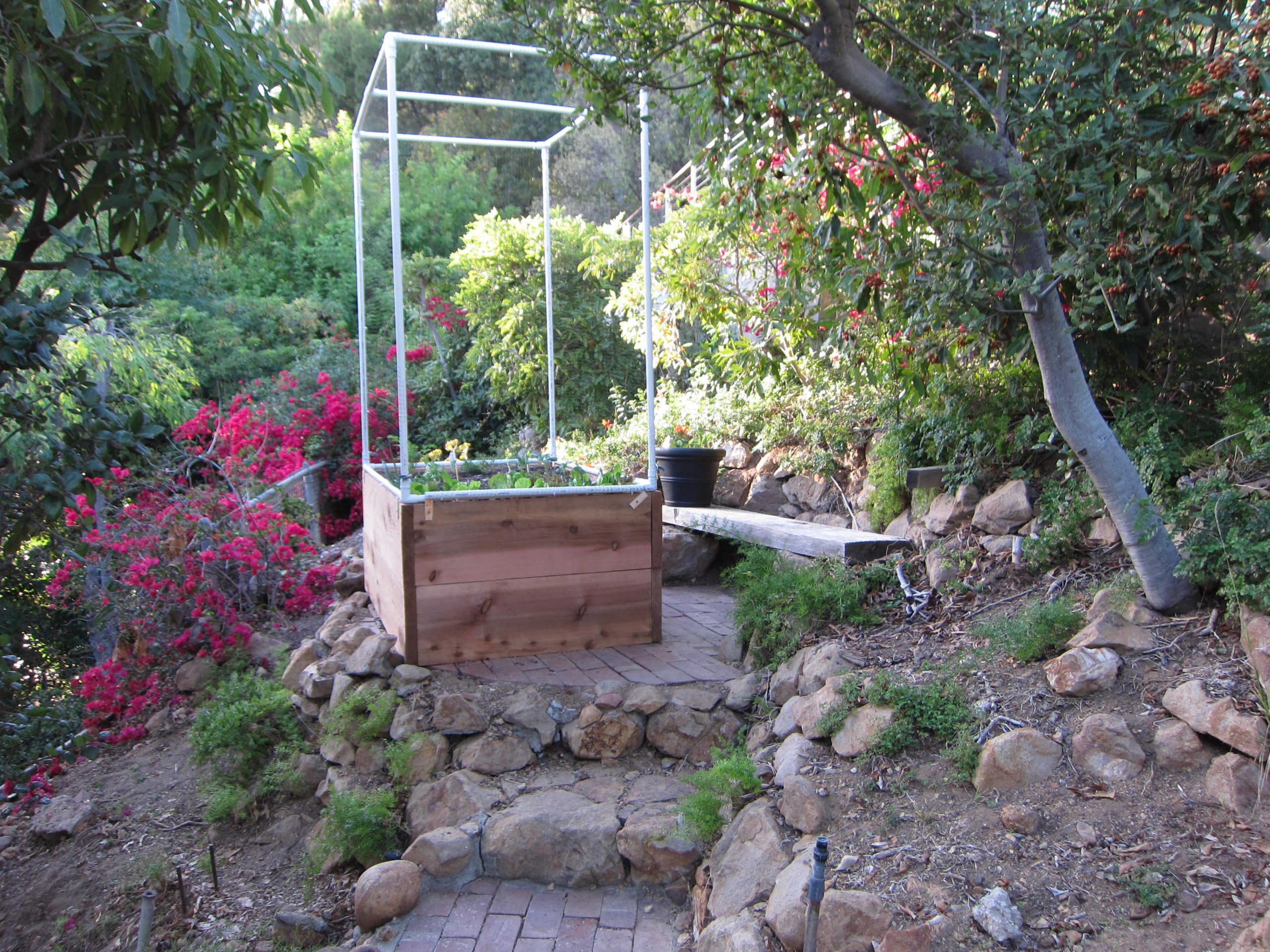 Read more about the article Design: A Cozy Caged Garden