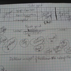 Crop Rotation Basics