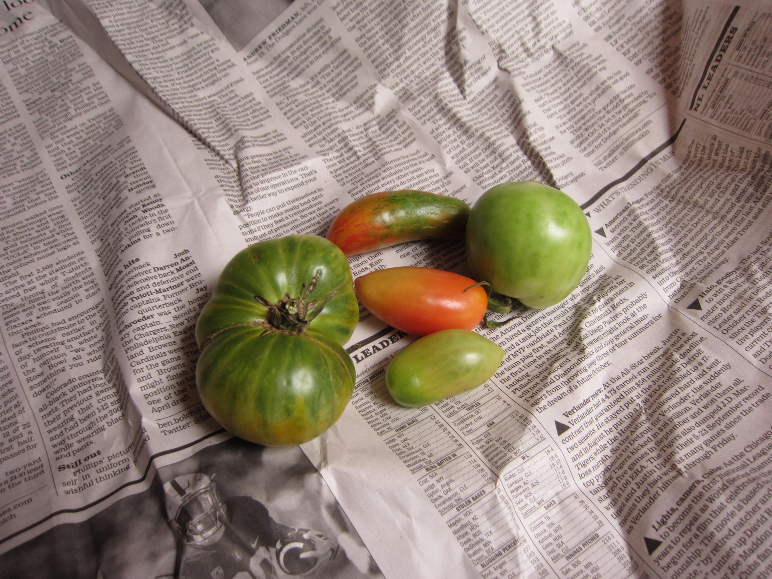 Read more about the article Ripening Green Tomatoes