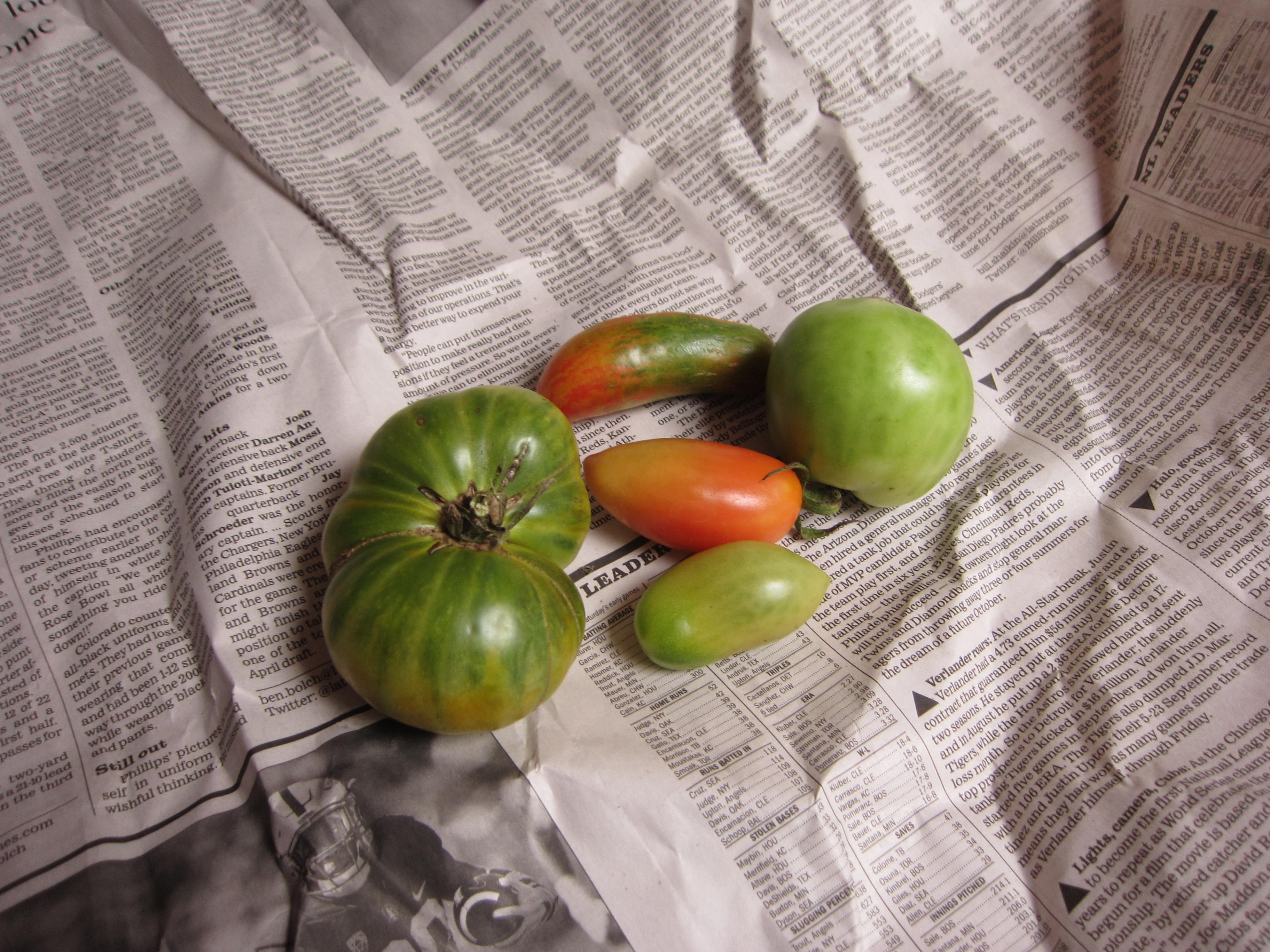 Ripening green tomatoes