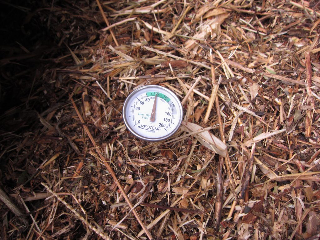 Compost pile wordless wednesday