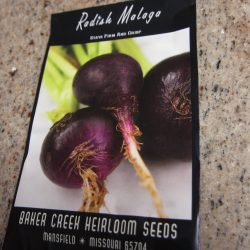 Favorite Seeds for 2018