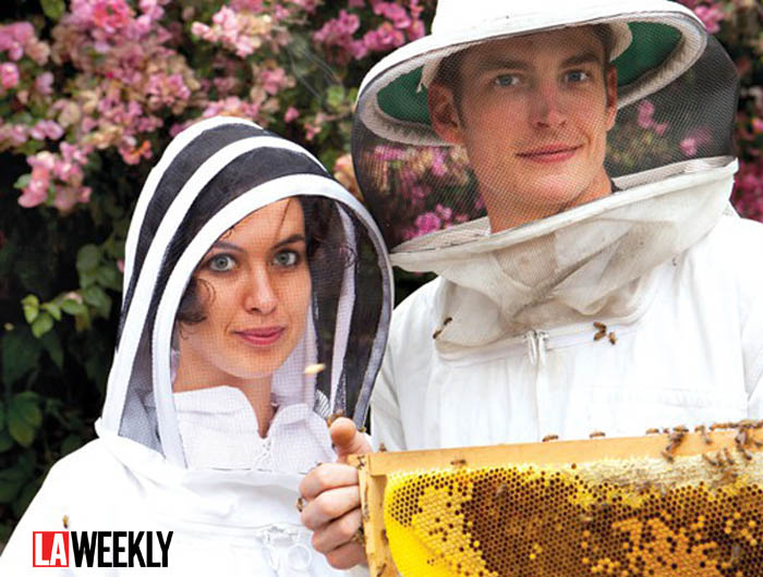 You are currently viewing Beekeeping with Rob and Chelsea McFarland of Honeylove