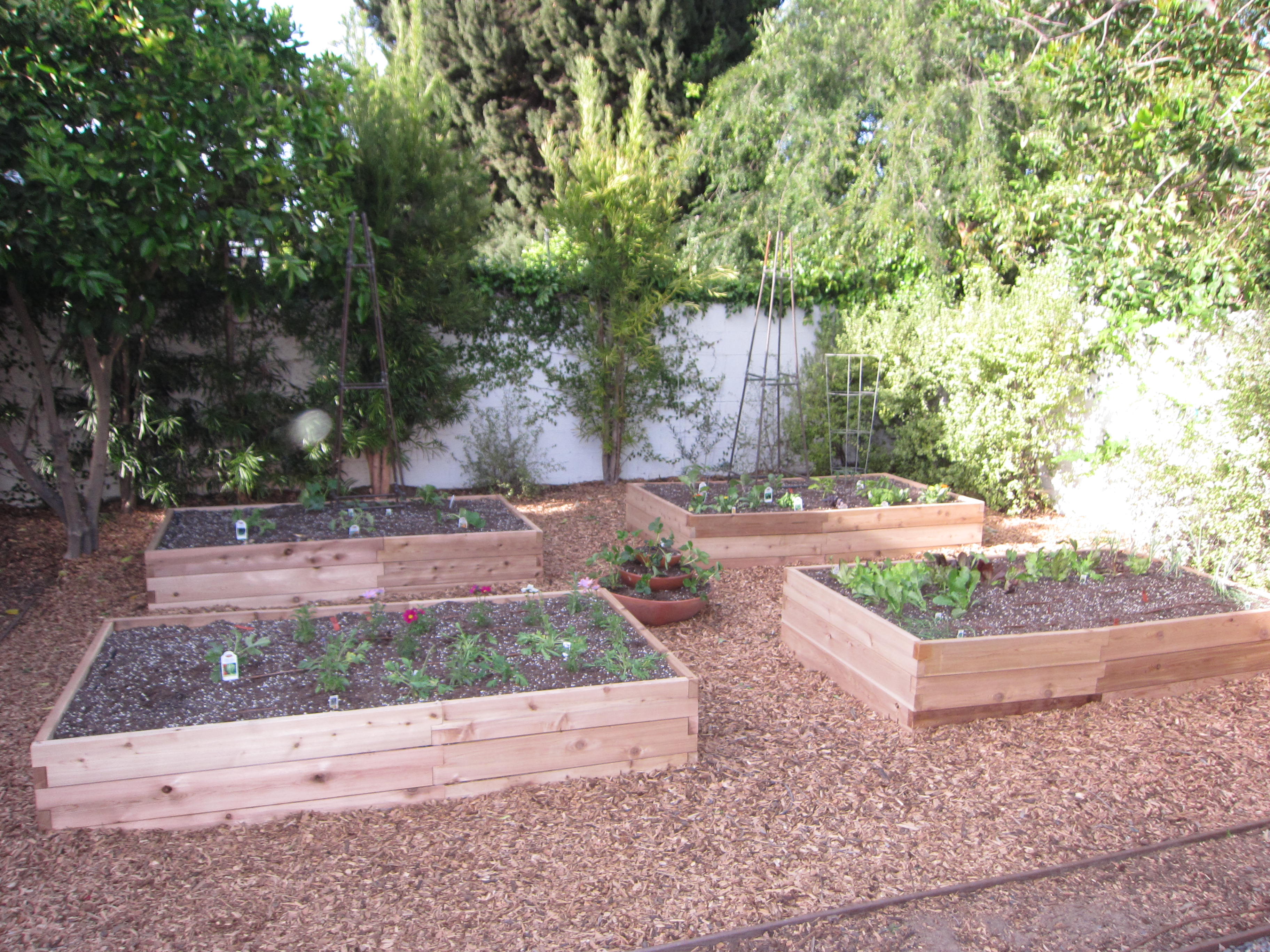 Galbraith space-filler garden finished