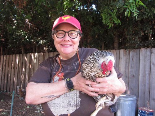 Read more about the article Podcast: Chicken Keeping with Ceebs Bailey