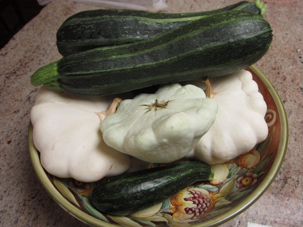 Summer squash galore