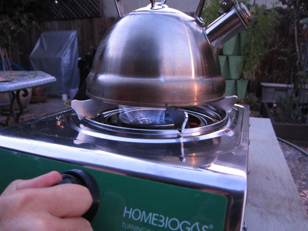 Home BioGas blue flame