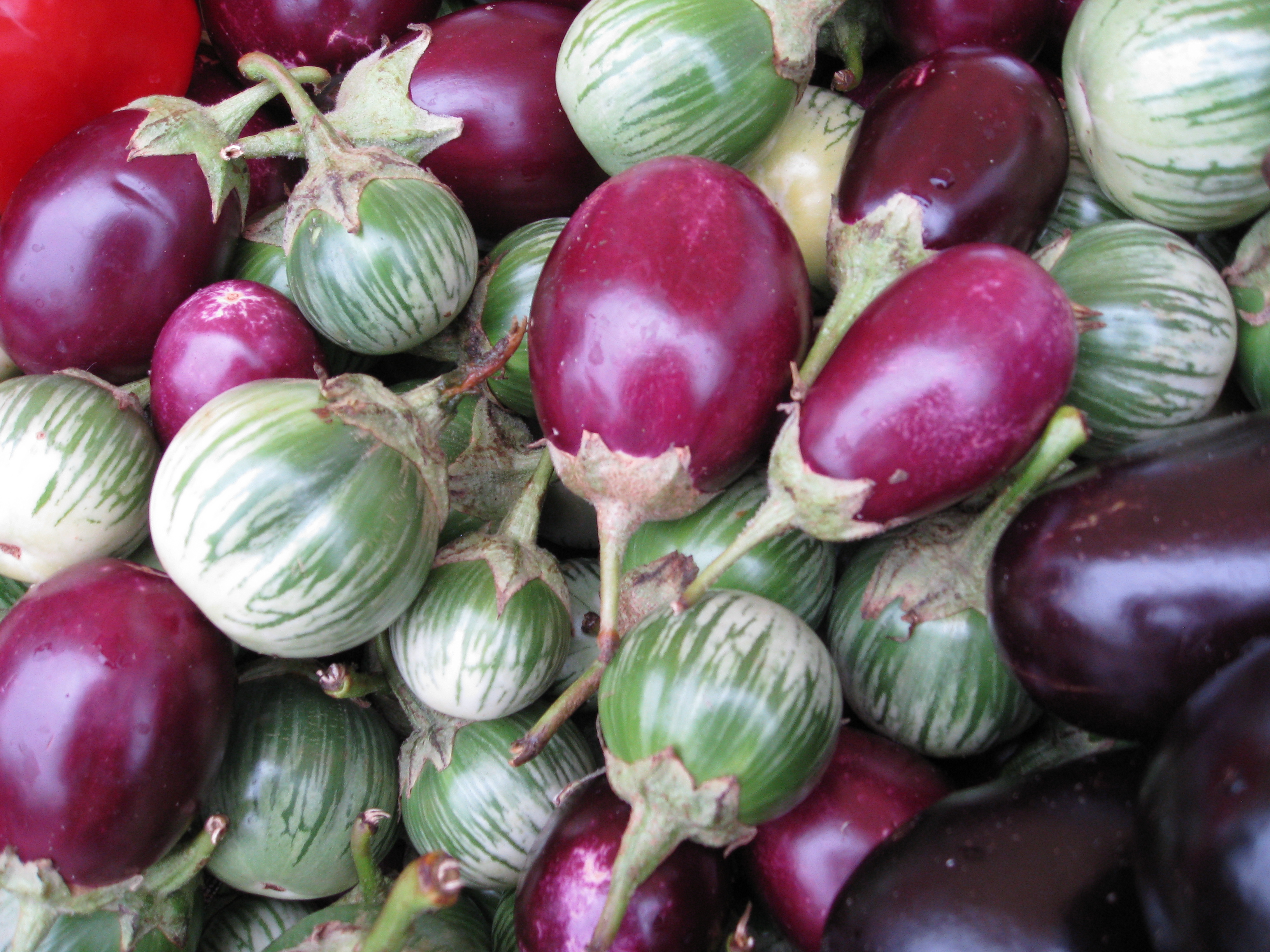 Mar Vista Farmers Market eggplants