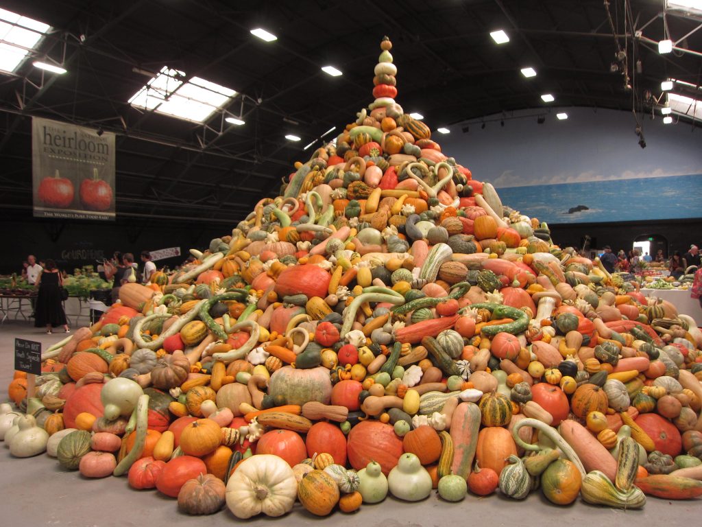 Tower of Squash Heirloom Expo