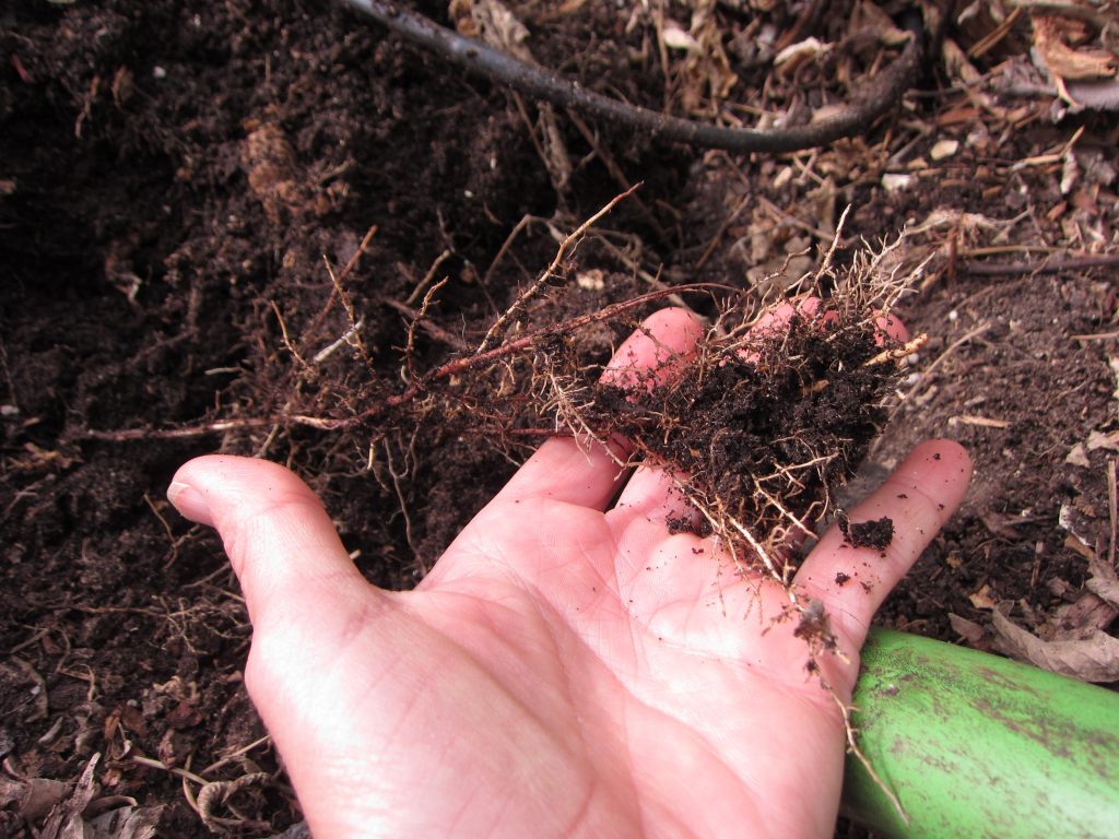 ZIP Code 06011 - Bristol Connecticut visual data 6