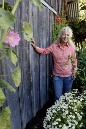 Read more about the article Bee-Friendly Gardens with Kate Frey