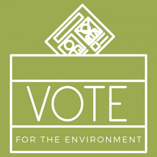 Read more about the article Election Day 2018: Vote for the Environment!