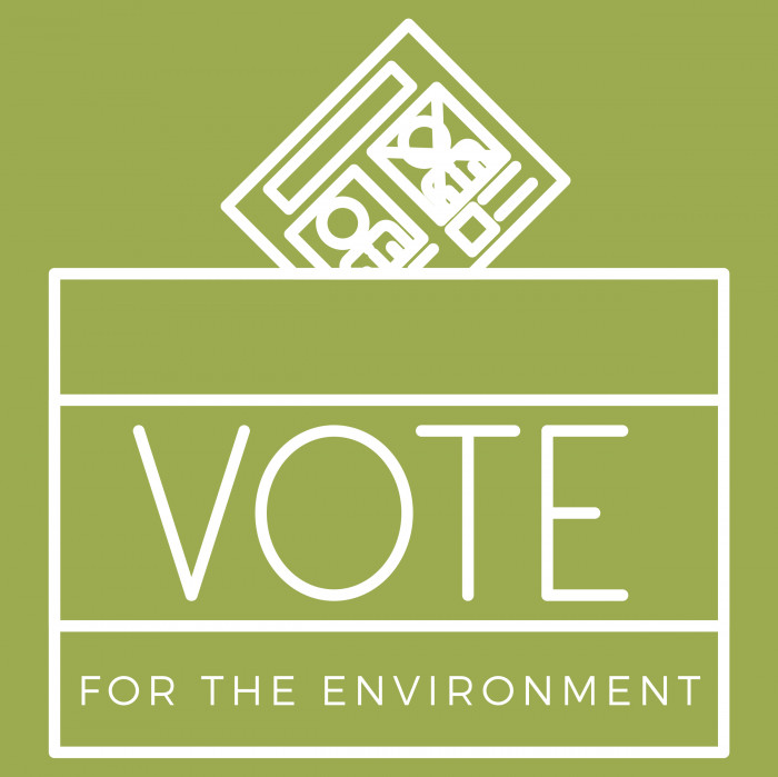 Read more about the article Election Day 2018: Vote for the Environment!