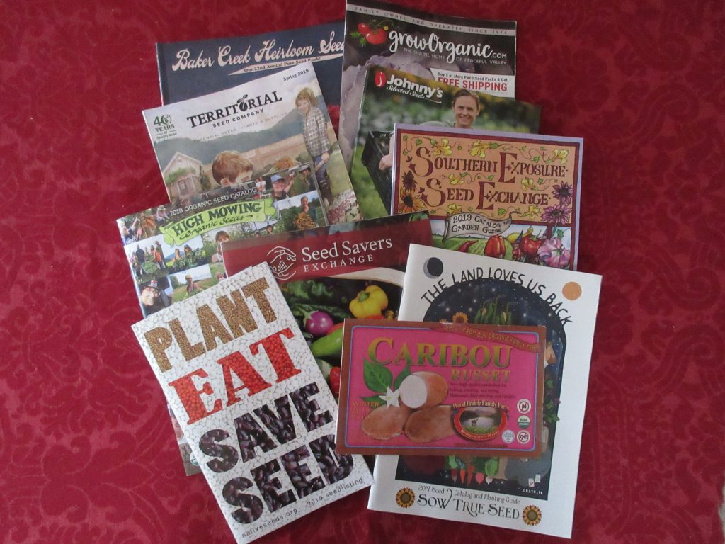 Seed Catalogs