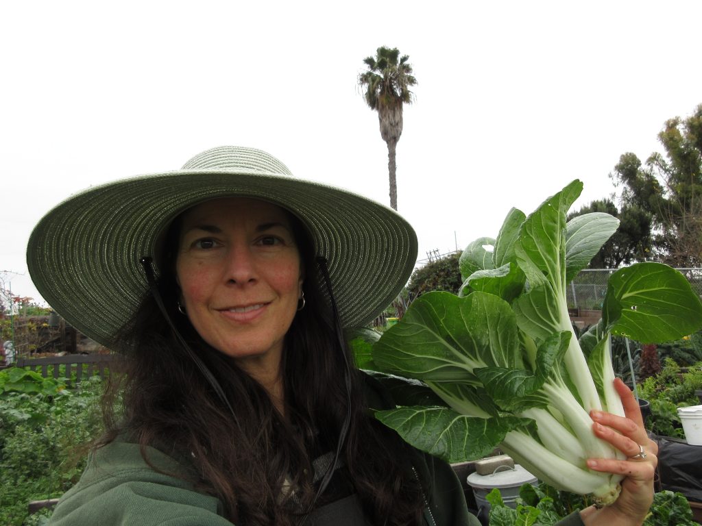 Wordless Wednesday Christy Bok Choy