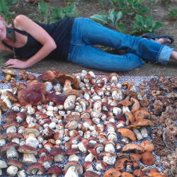 Podcast: Foraging with Erica Wohldmann