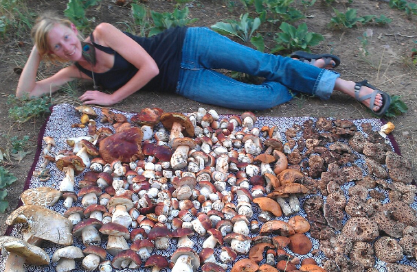 Read more about the article Podcast: Foraging with Erica Wohldmann