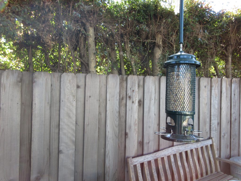 New bird feeder