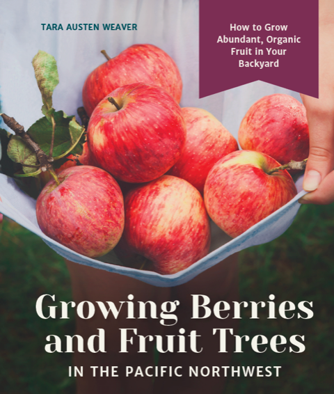 Growing Berries and Fruit Trees