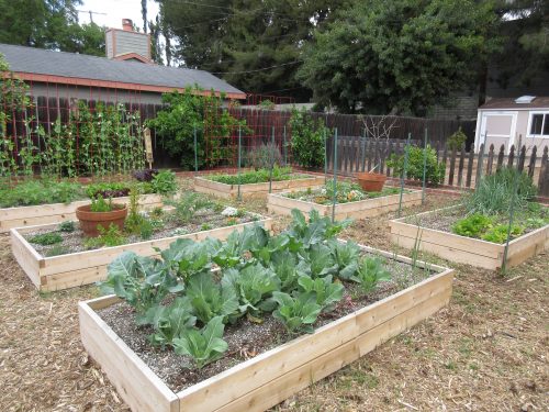 Read more about the article Design: Urban Farm
