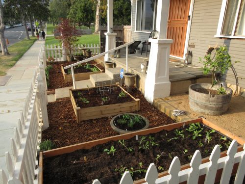 Read more about the article Design: Tiny Front Yard Farm