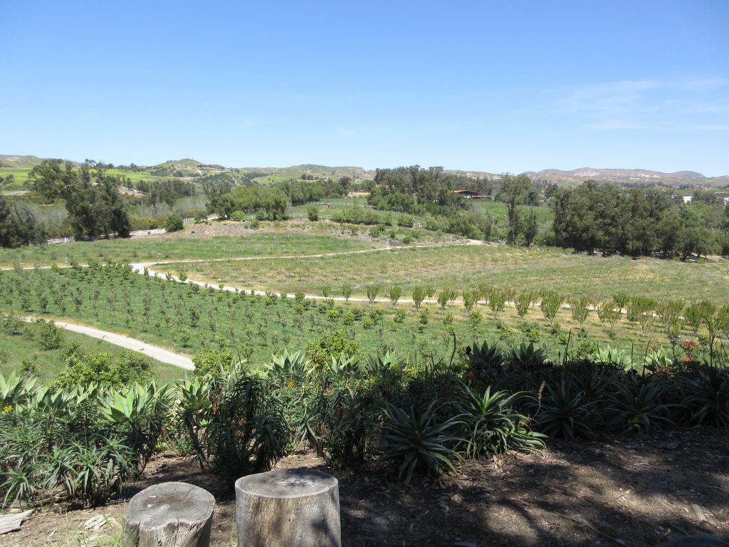 Apricot Lane Farms view