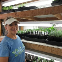 Podcast: Jo Anne Trigo of Two Dog Organic Nursery