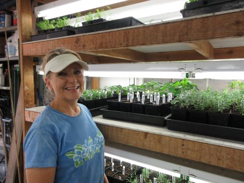 Read more about the article Podcast: Jo Anne Trigo of Two Dog Organic Nursery