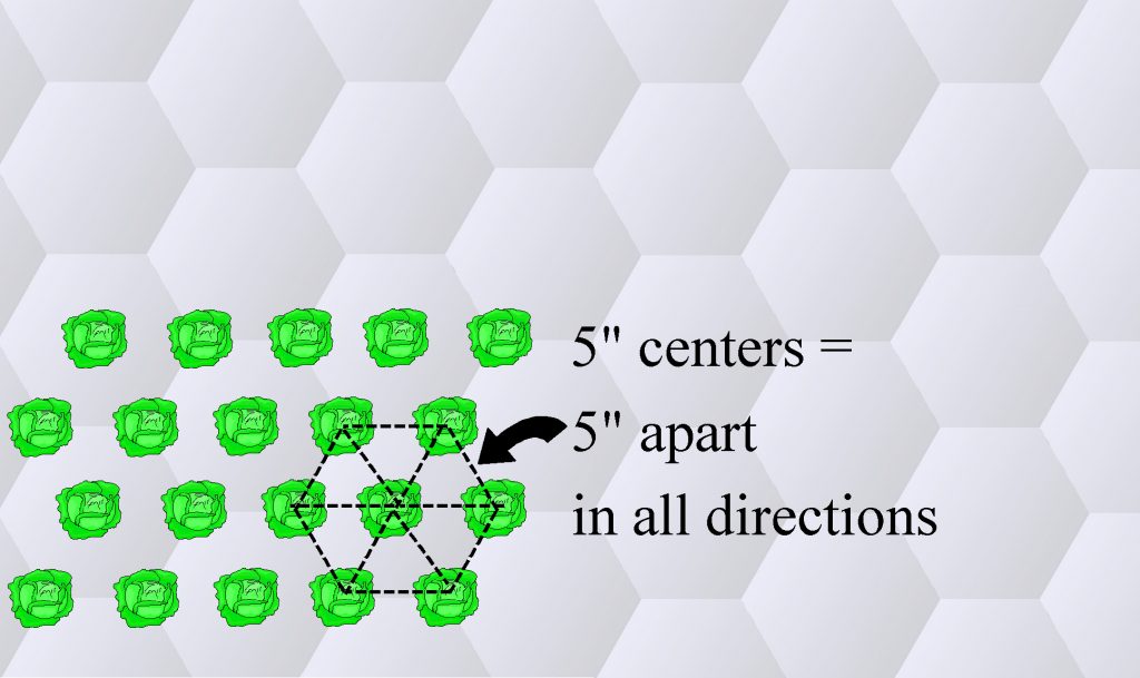 hexagonal planting1