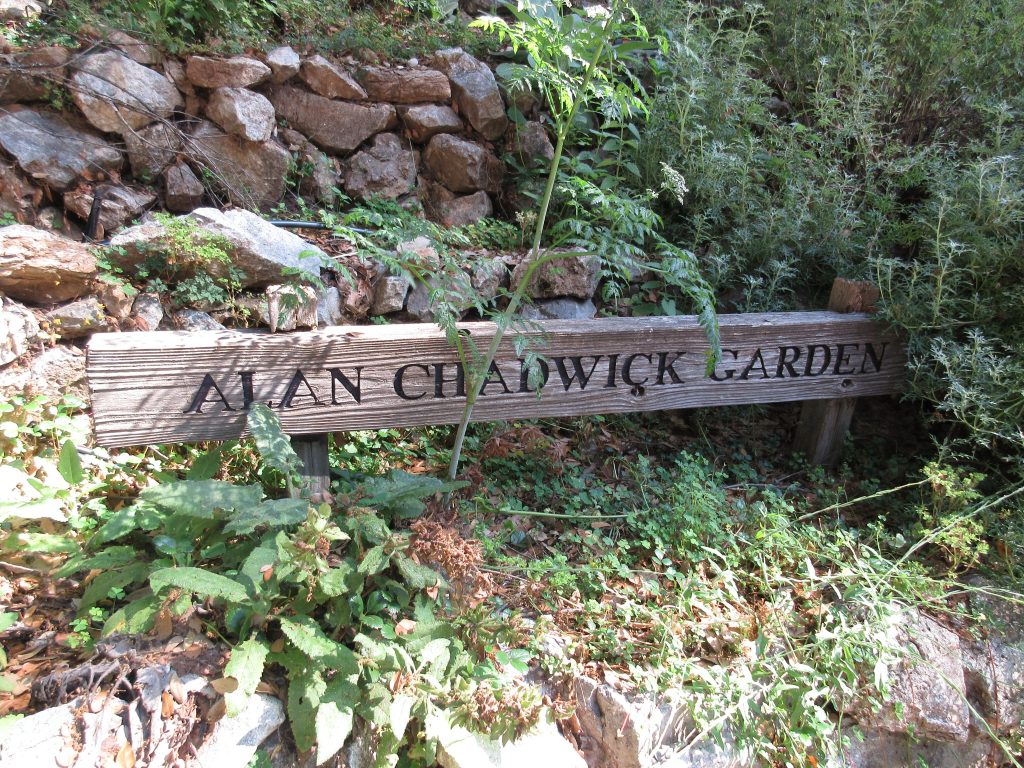 Alan Chadwick Garden