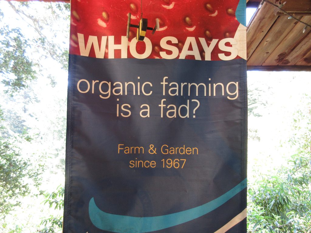 Alan Chadwick Garden Organic Fad