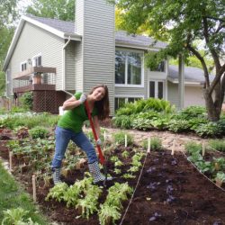 Podcast: Gardening for Wellness with Shawna Coronado