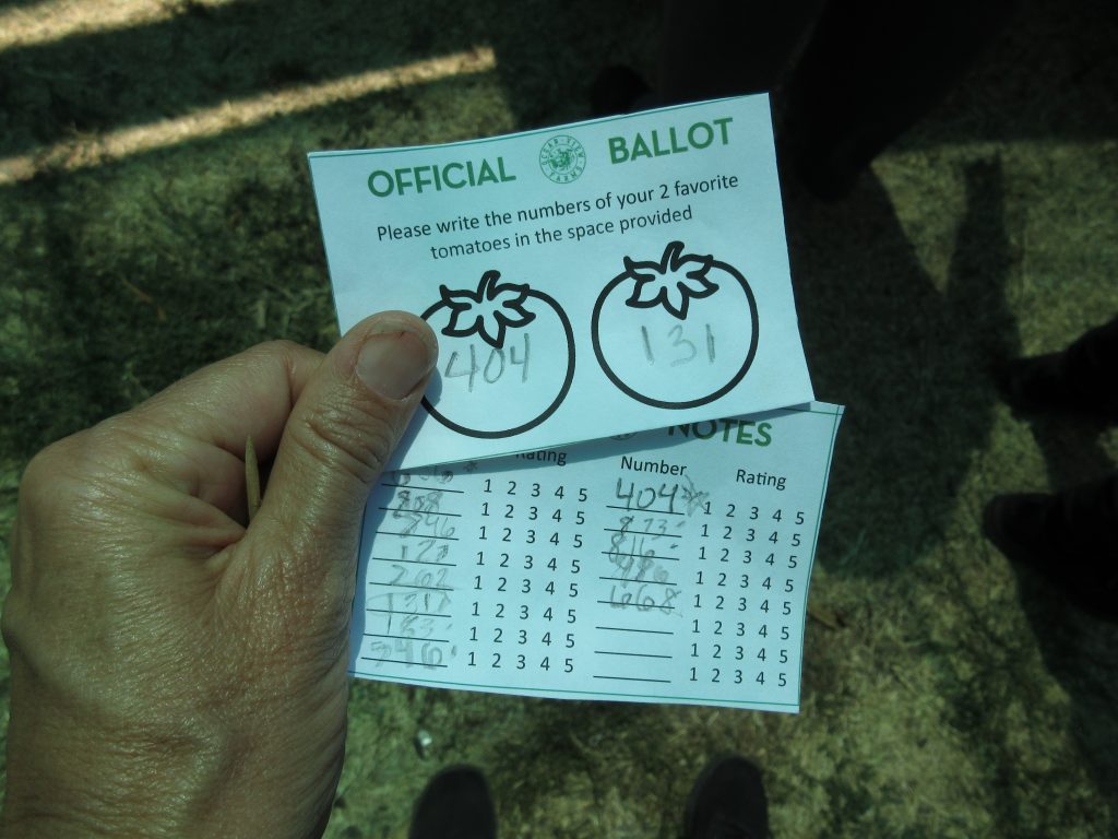 tomato tasting ballots