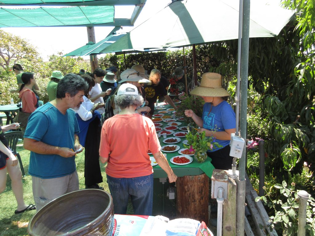 Tomato Tasting guests