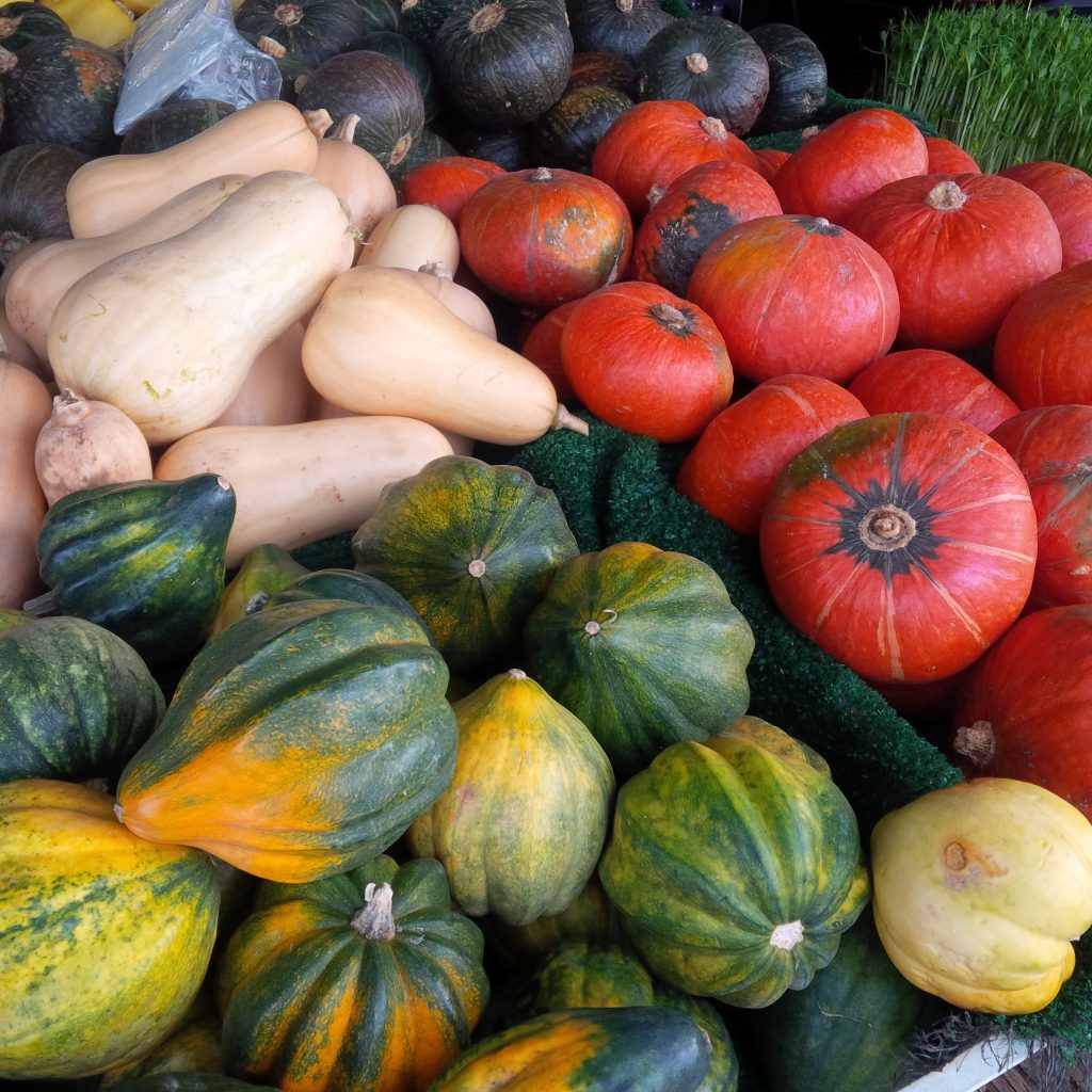 Winter Squash