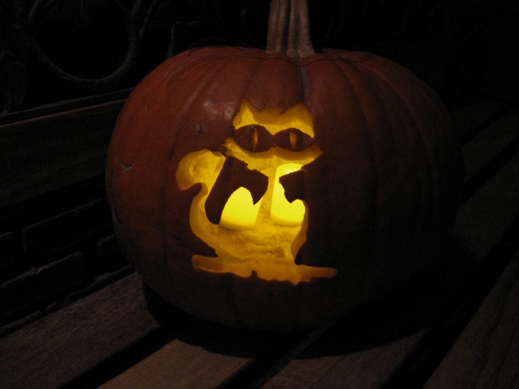 Halloween cat pumpkin