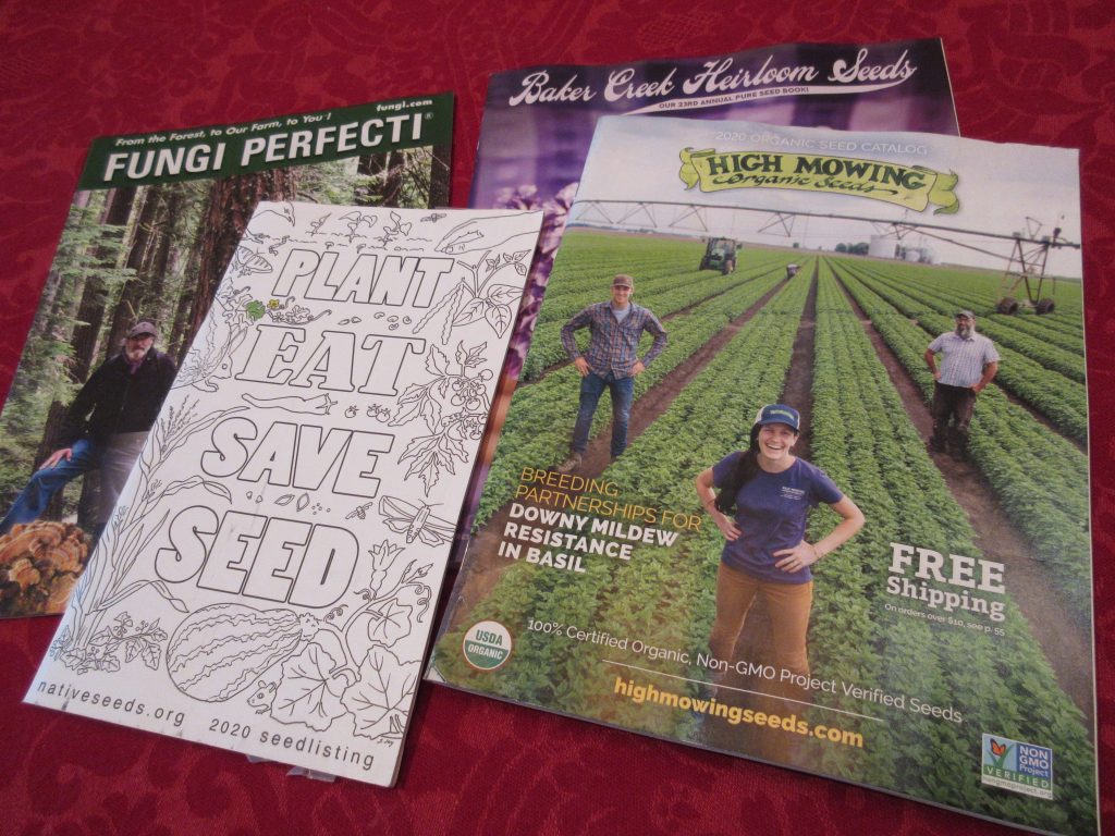 Wordless Wednesday seed catalogs