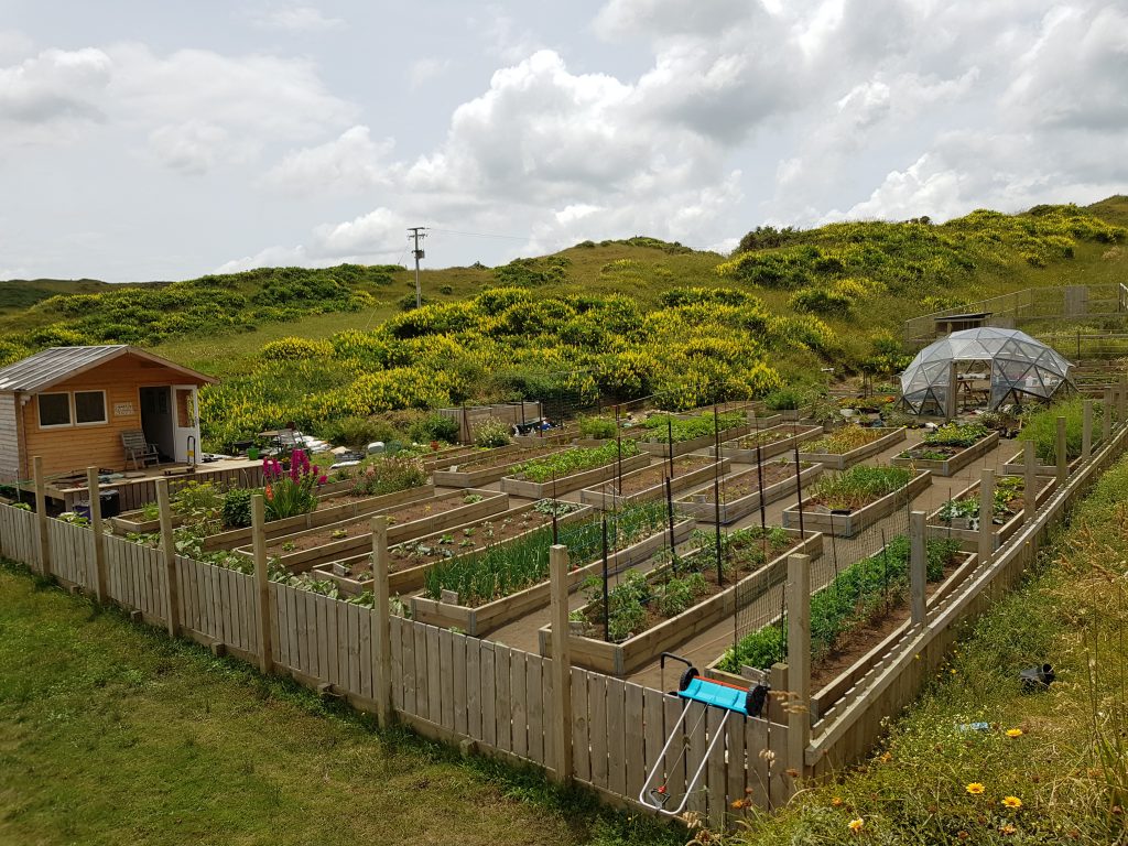 Sarah O'Neil's Garden