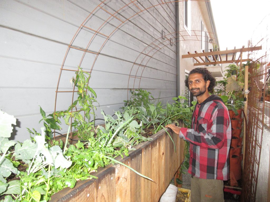 Rishi apartment garden