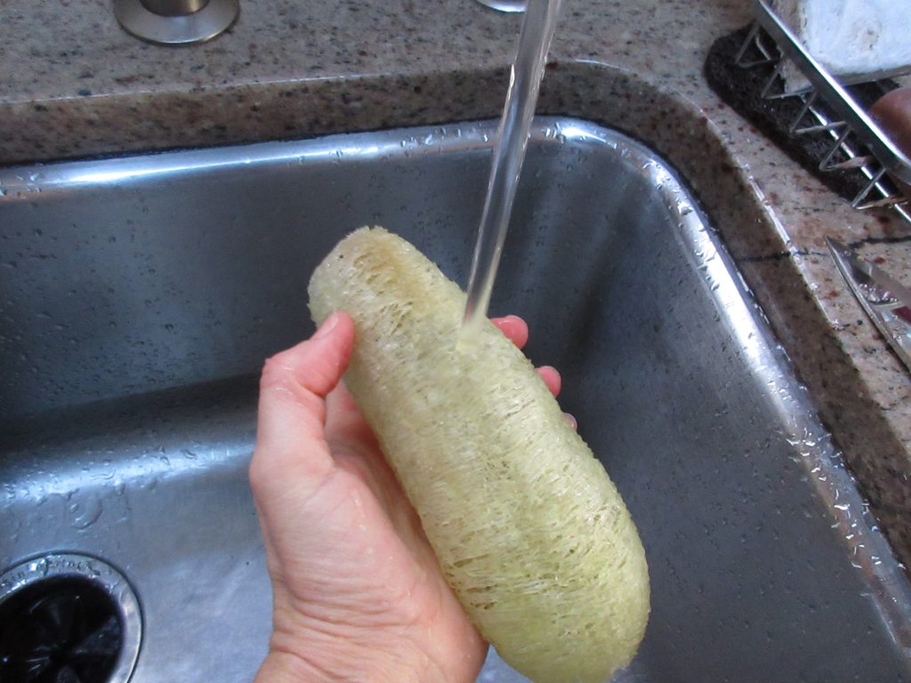 Rinsing luffa