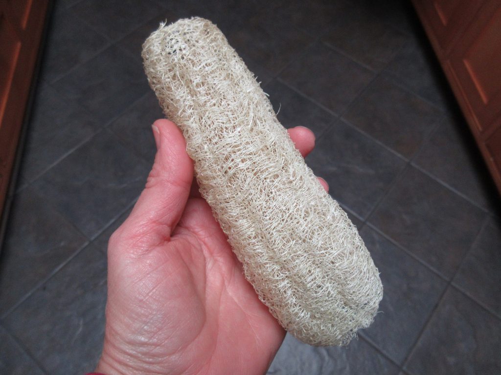 Dried luffa