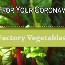 YouTube – Quick Crops for a Coronavirus Garden