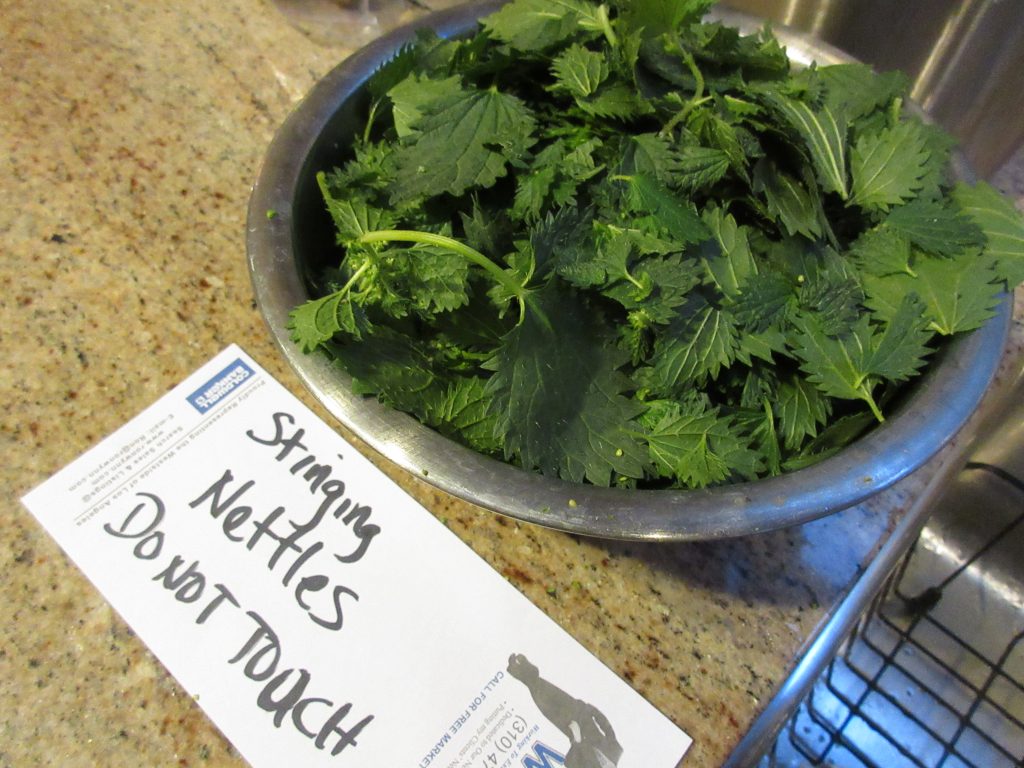 Stinging nettle leaves