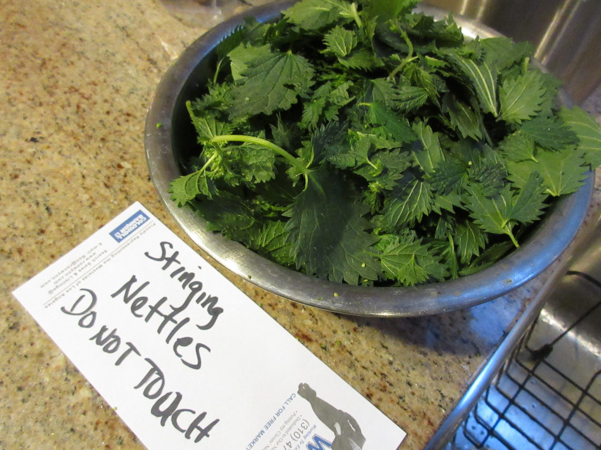 Recipe Stinging Nettles Galore! Gardenerd