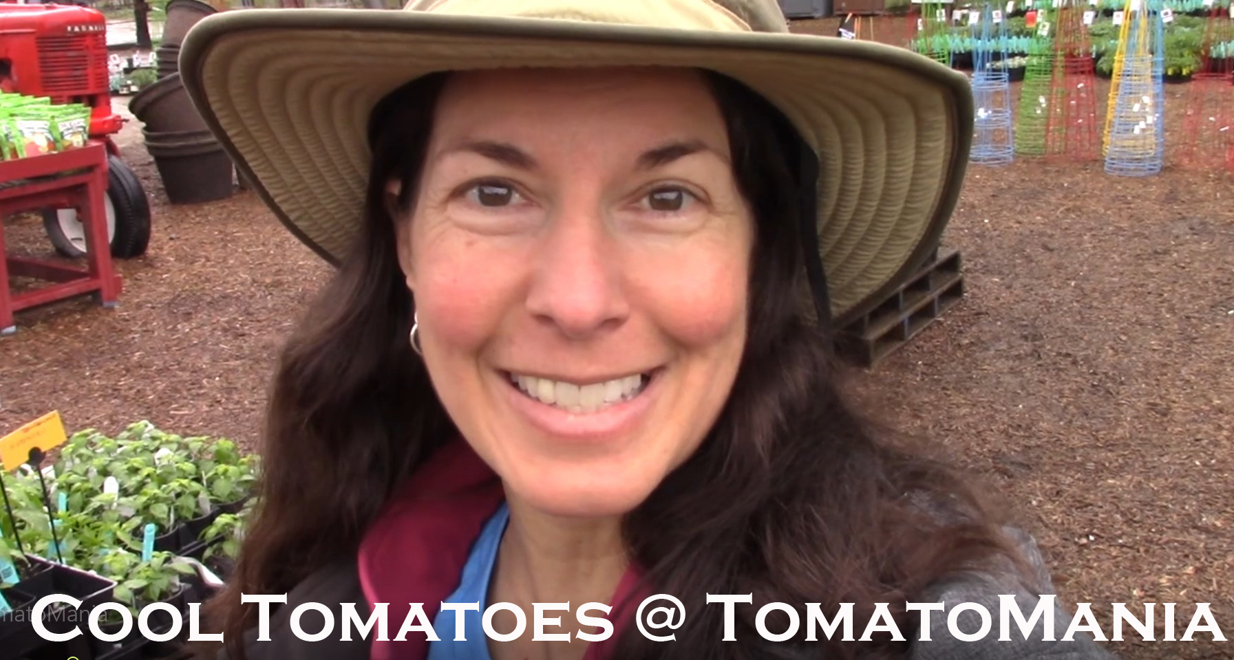 You are currently viewing YouTube: Cool Tomatoes to Grow in 2020