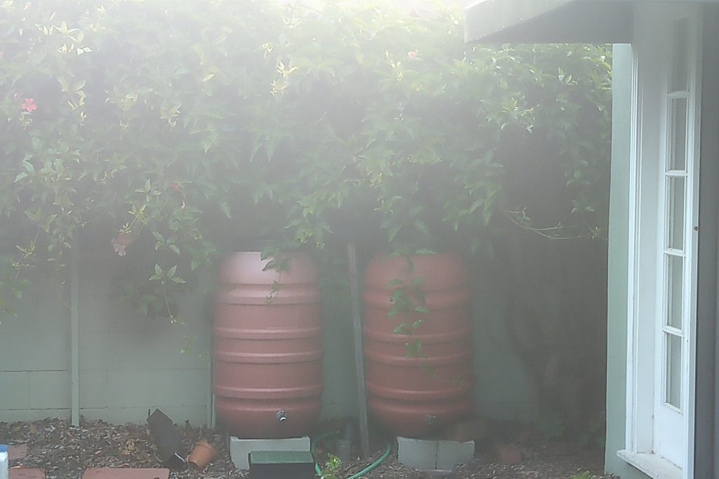 foggy rain barrels
