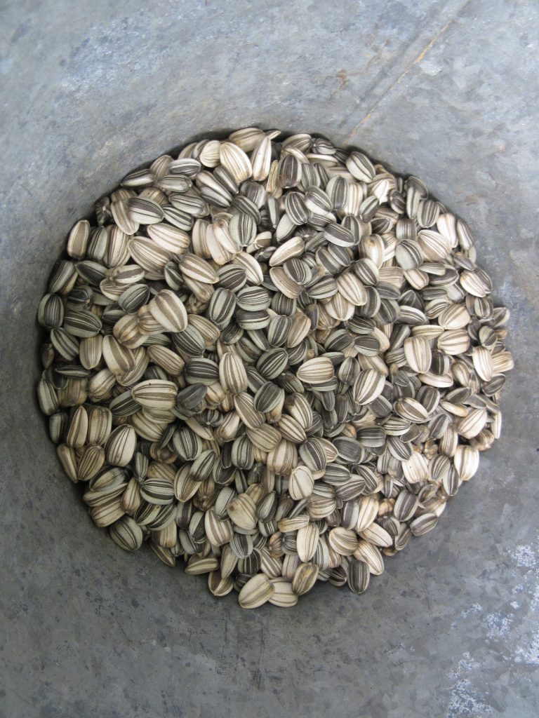 Arakara sunflower seeds