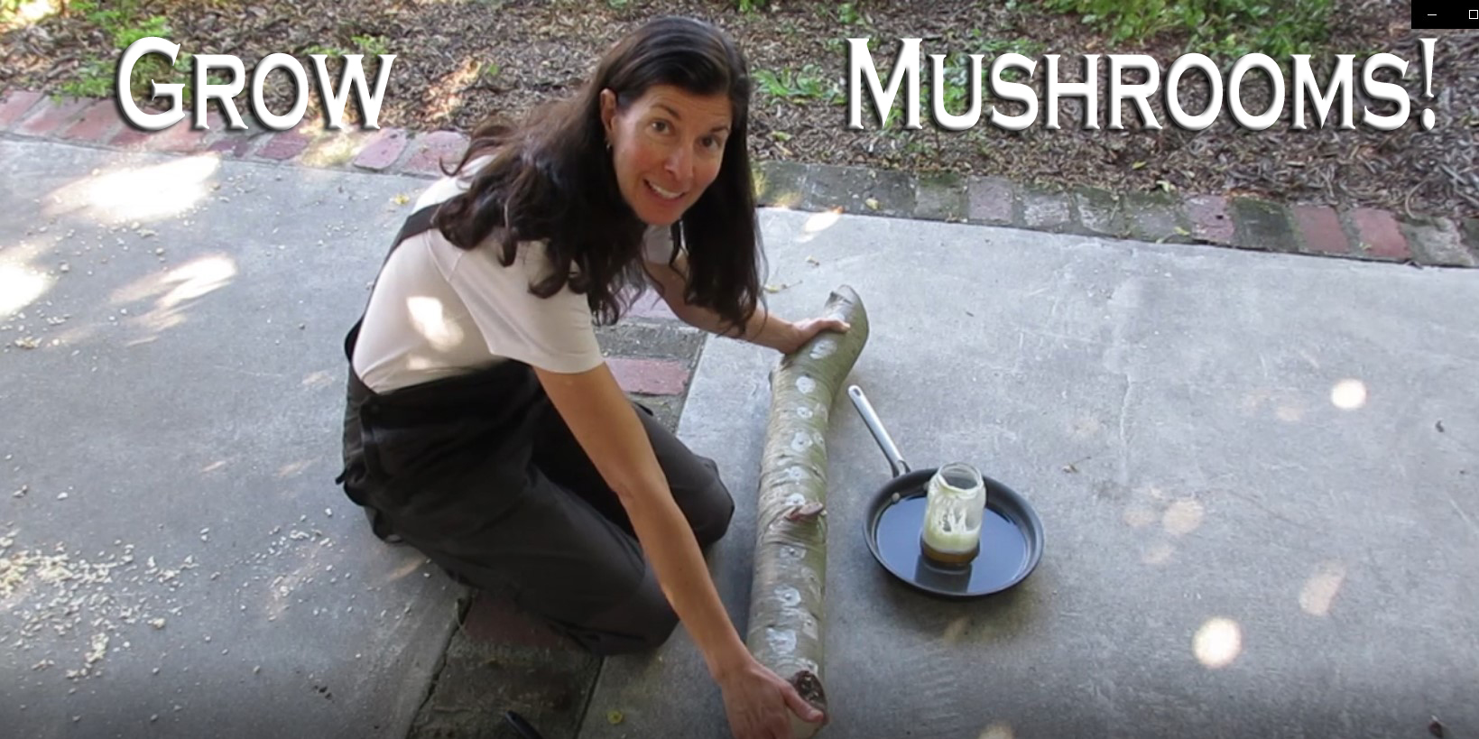 Read more about the article YouTube: Inoculating Mushroom Logs – Starter Guide