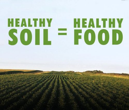 Healthy soil 1