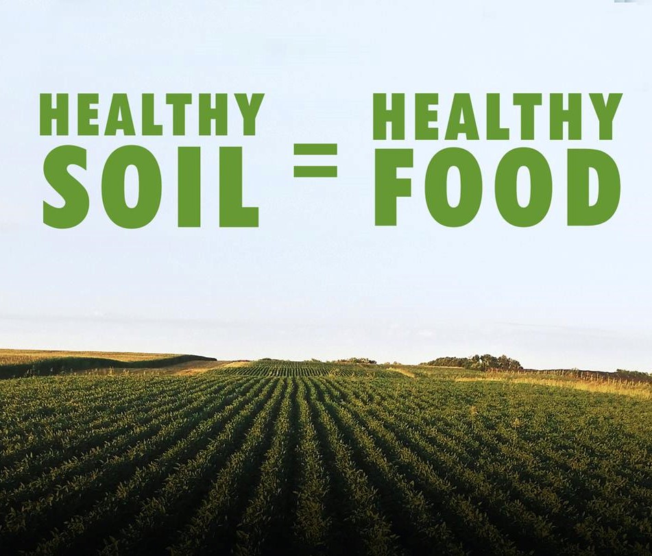 Healthy soil 1